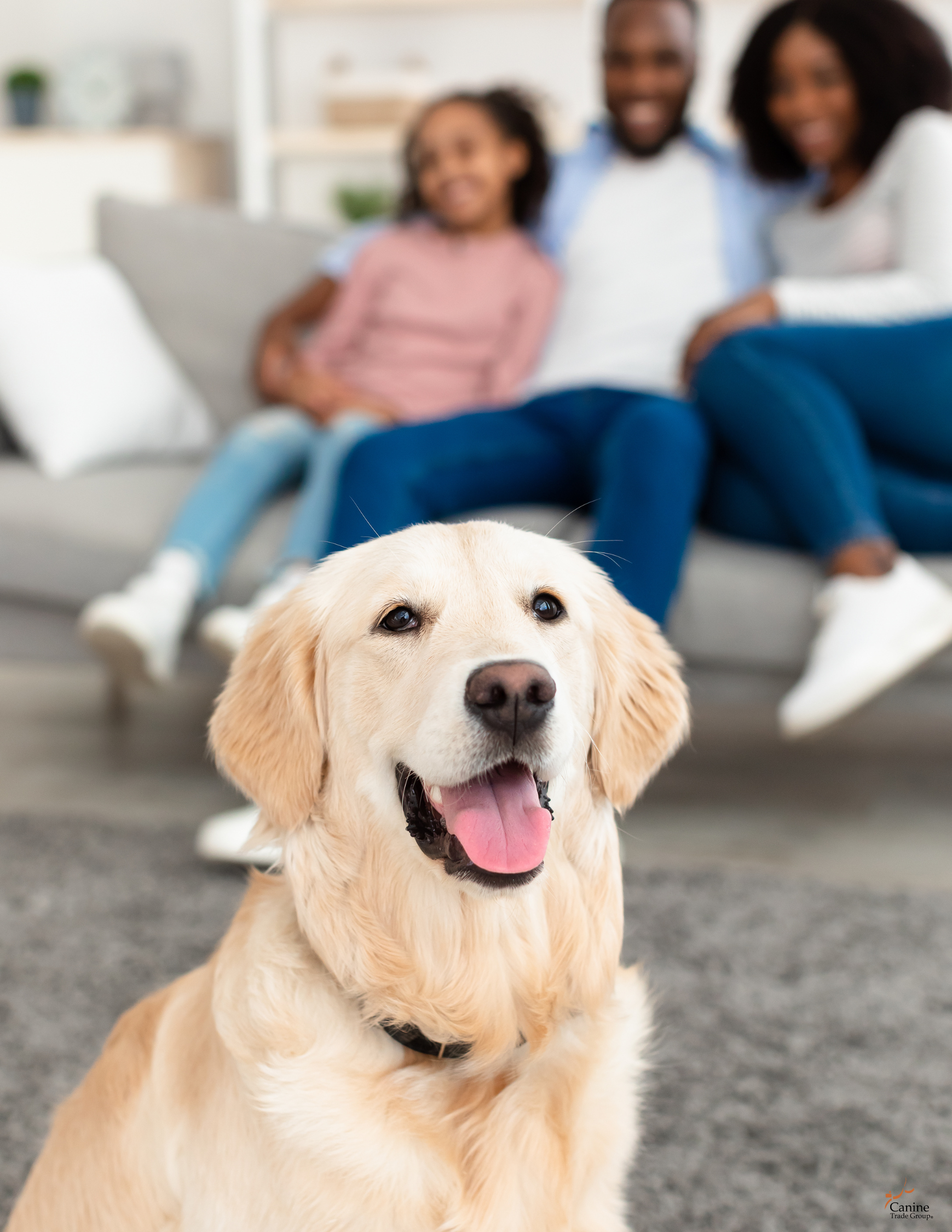 dog training for new parents