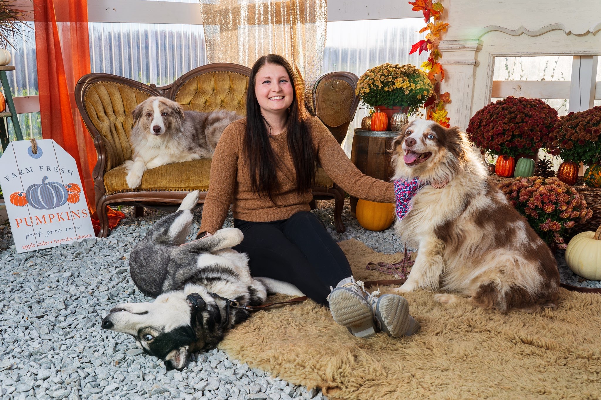 pittsburgh dog trainer