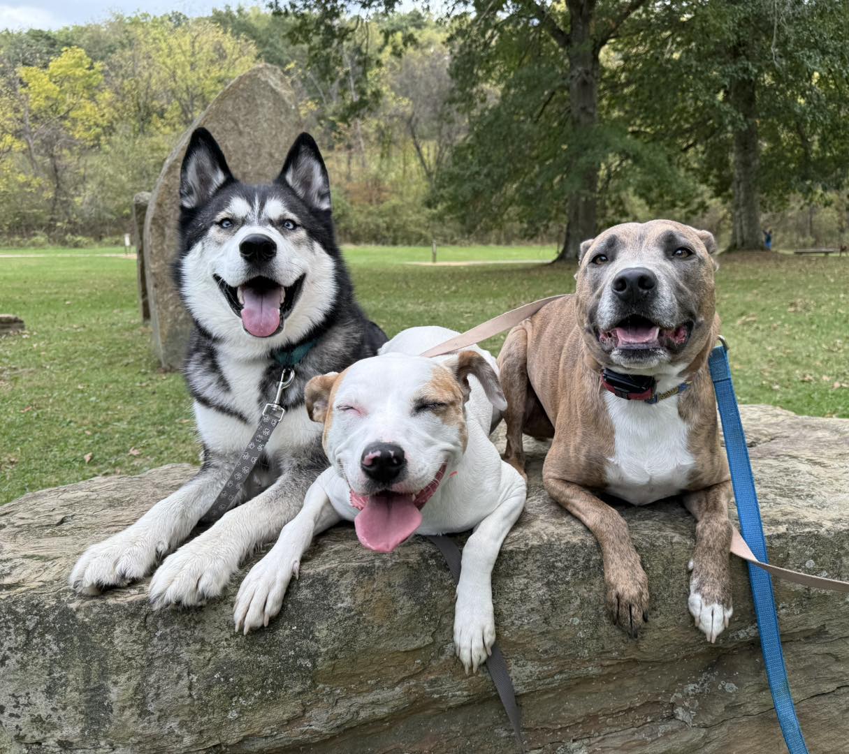 stay and train stay and train