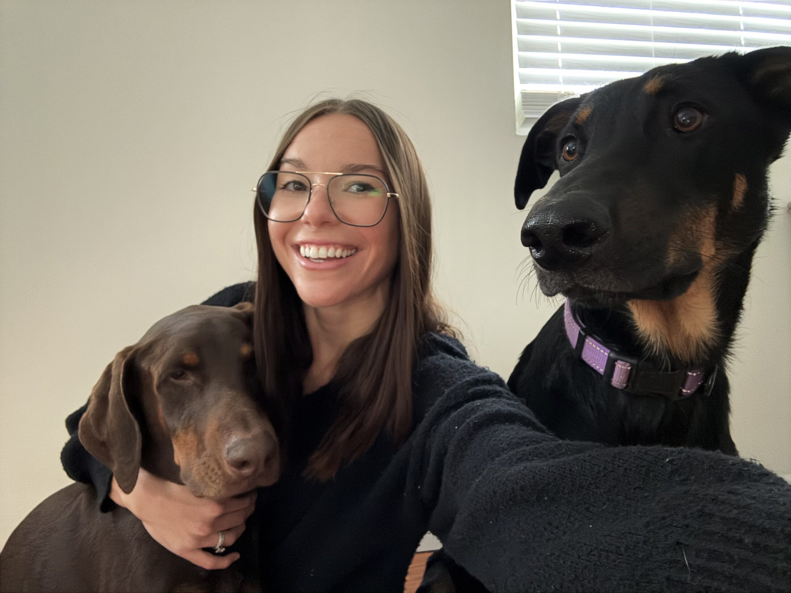 pittsburgh dog trainer pittsburgh dog trainer